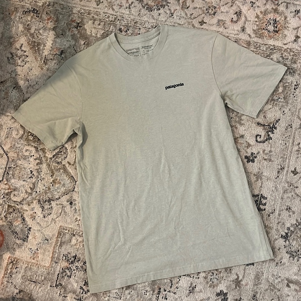 Patagonia Tan T-Shirt